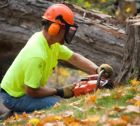 tree services Normandy